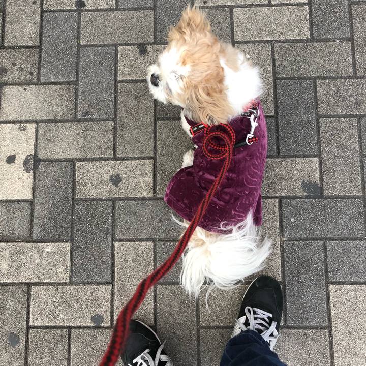 E9249bb9 a673 425d 8d49 ce2c180b43ce 1582585192328