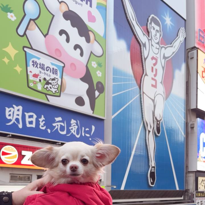 E924eeae 7b8e 4289 b7ce e929ad227442 1737019395392