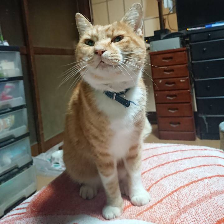 E924fce9 d30d 4deb 8094 322d4f66da54 1603136753013