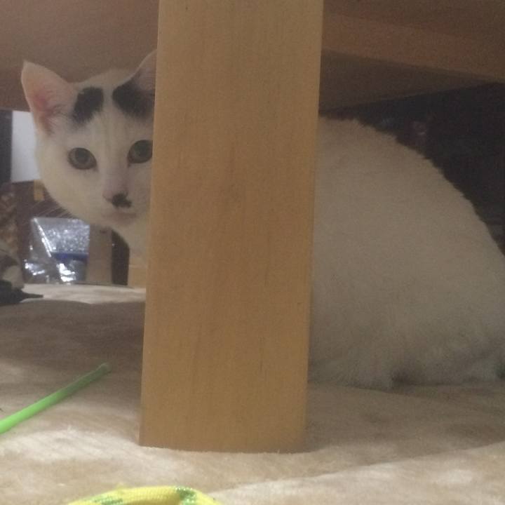 E92512f6 c939 4ff8 8fc9 3d70e7bd859b 1554902752035