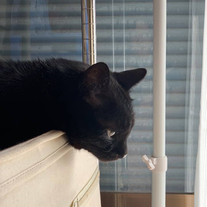 E92531dd d538 46a4 b24c c0d34a451ddd 1558833467408