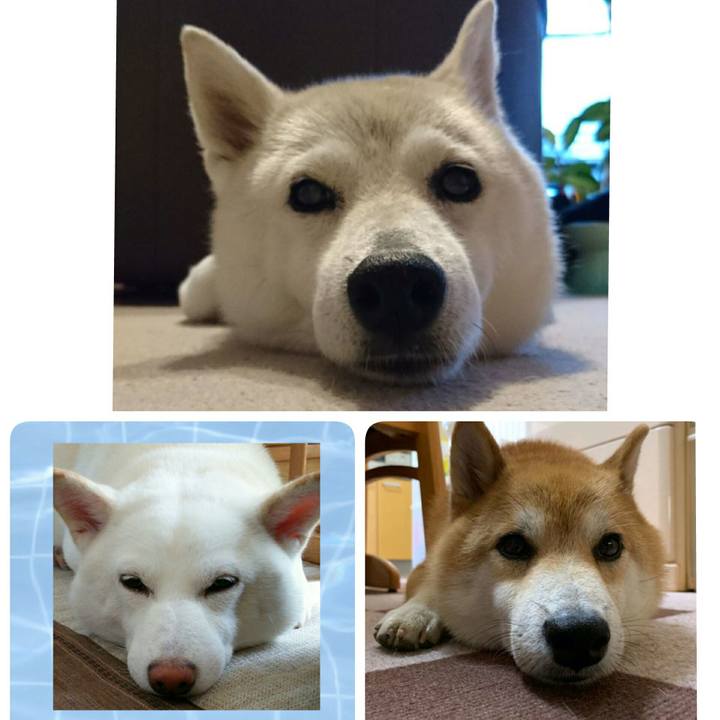 E9254792 8697 49c8 b97e 943f90dbc95c 1564123398349