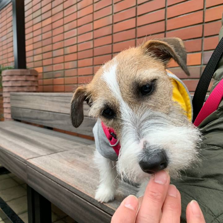 E9255016 6e93 4d3b 8323 1ee841c2cb5a 1576925045601