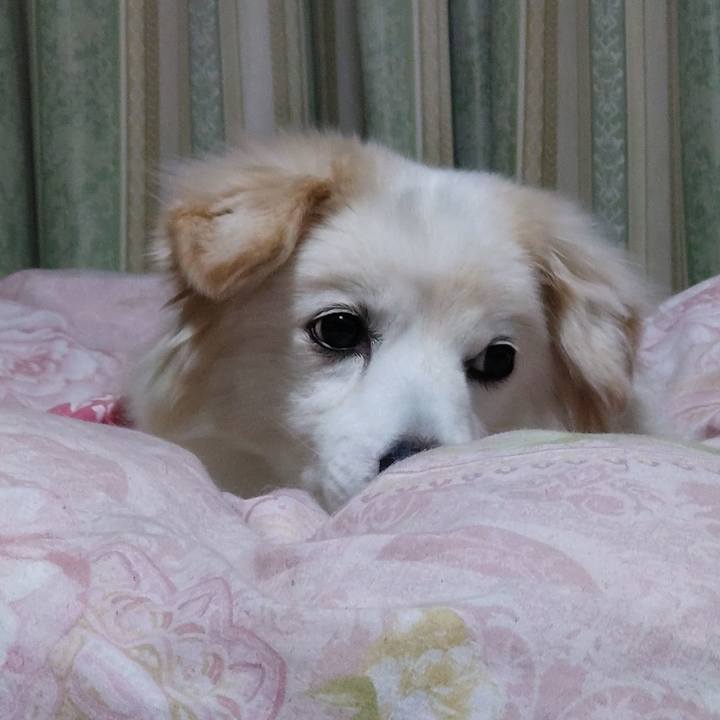 E92556a3 cf56 42e5 9568 69600f803869 1641590185040