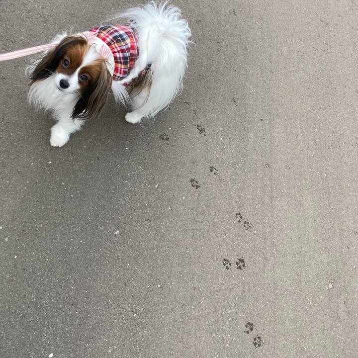 E925818e 09fe 462c 8b6a 432bb1f64b97 1646975181130