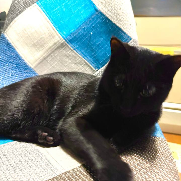 E92590c4 8e98 417c 8bde 2e272083de78 1745931858869