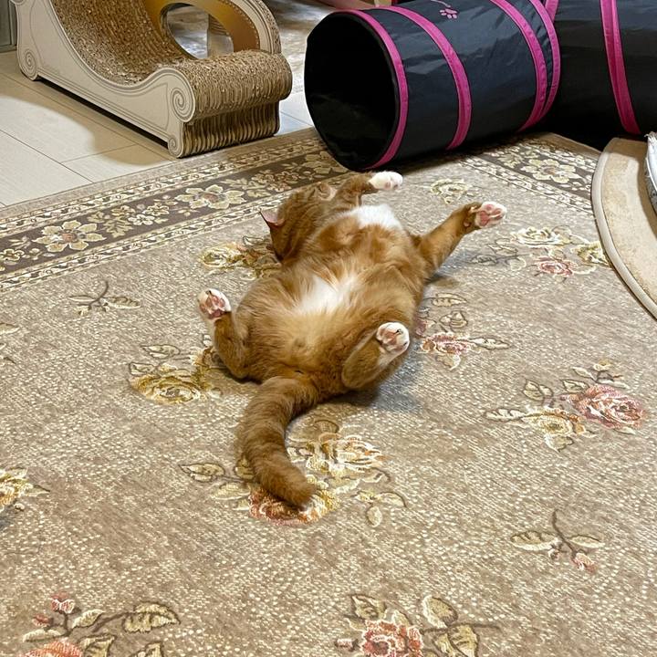 E925d58f 1ed9 4264 b265 7049bf77fcc3 1614006193257