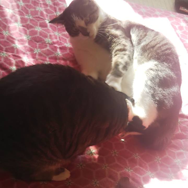 E9261963 a793 477b 912d cf1248f68091 1607738763787