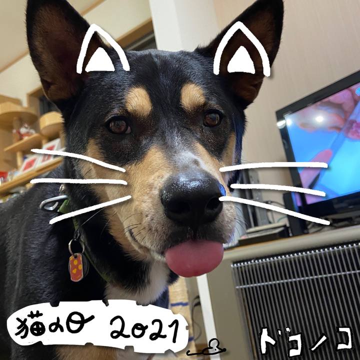 E926236f bb17 49db b5f3 6e68f43b4ece 1613996881646