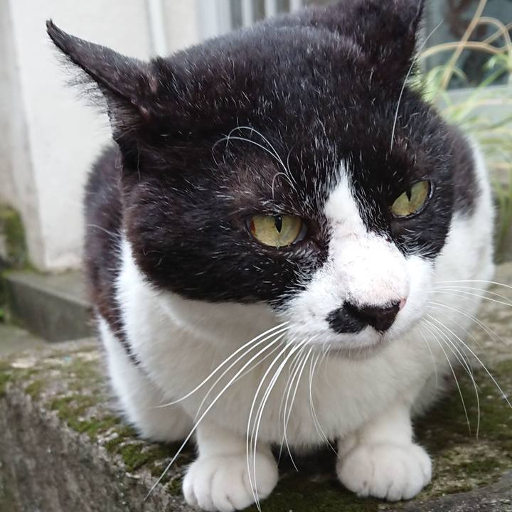 E92629f5 5c7d 4f07 87ff 2d334435892f 1593841400516