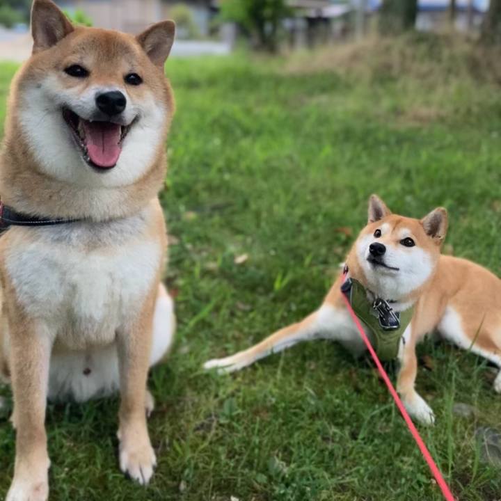 E9263cea 70da 4f6f aff0 e60e35e8395e 1657279722356