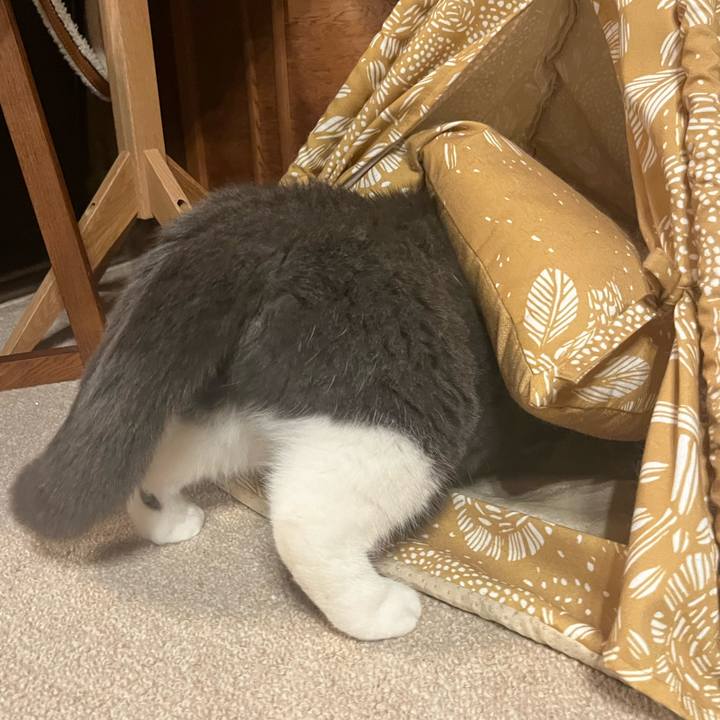 E9267d0a a326 477a a345 f434287683bf 1676079591313