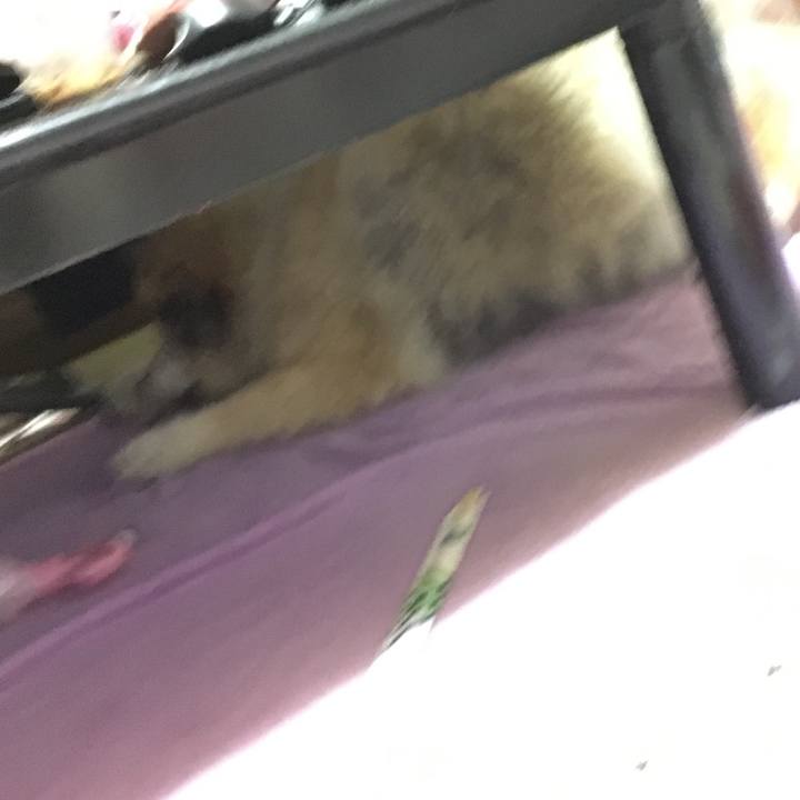 E9268ad7 2d52 4755 ace7 d0be6d0584c0 1623431751774