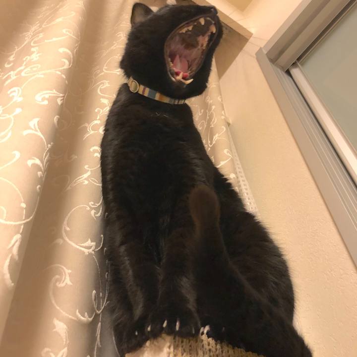 E926a140 ced2 4cde b023 8c2b8b7ddb60 1519908165312