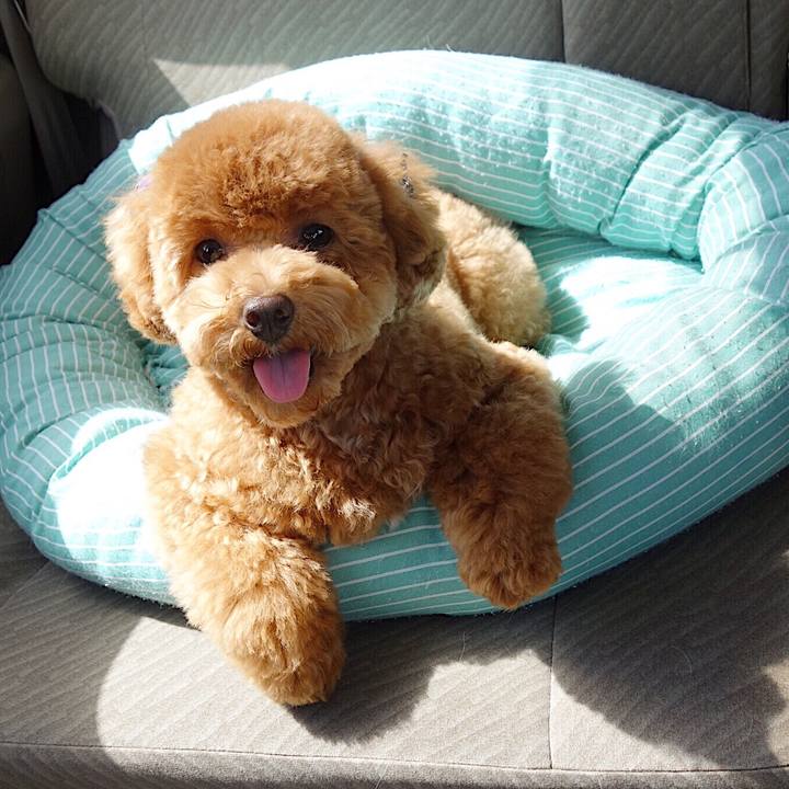 E926aac7 f049 44ee bd91 f750f9cc369d 1537063526767