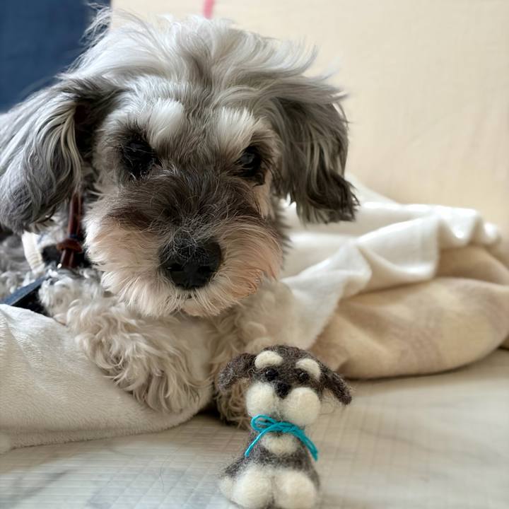 E9274431 9d71 471a b111 6c00766e4d8f 1772178128271