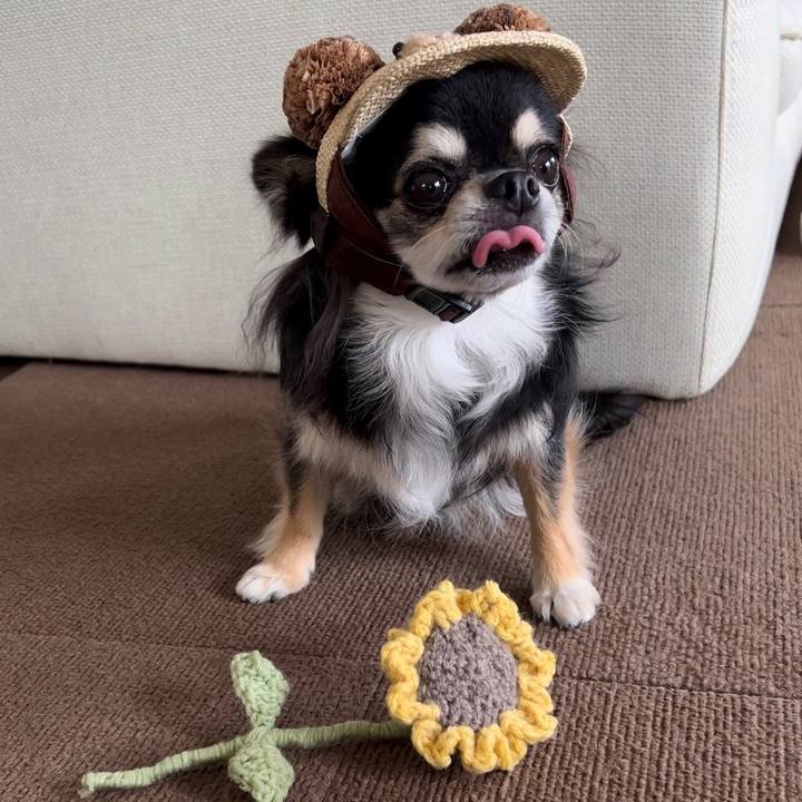 E9275716 c356 4d67 a139 5ad2270798c3 1690848574674