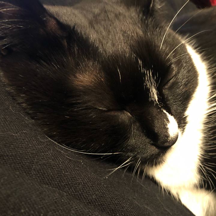 E92761a0 5cb9 4b43 8fa7 237f6bd240d5 1577756504549