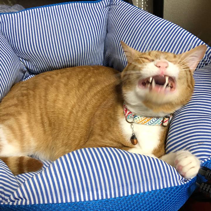 E9277c14 a38a 4b49 8f3f 7e1af32508c9 1563264260959