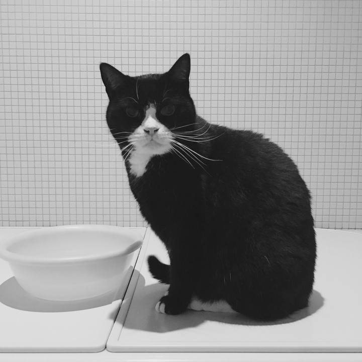 E927c5e5 aa16 44a6 bcdf 29a710c71262 1549982454139