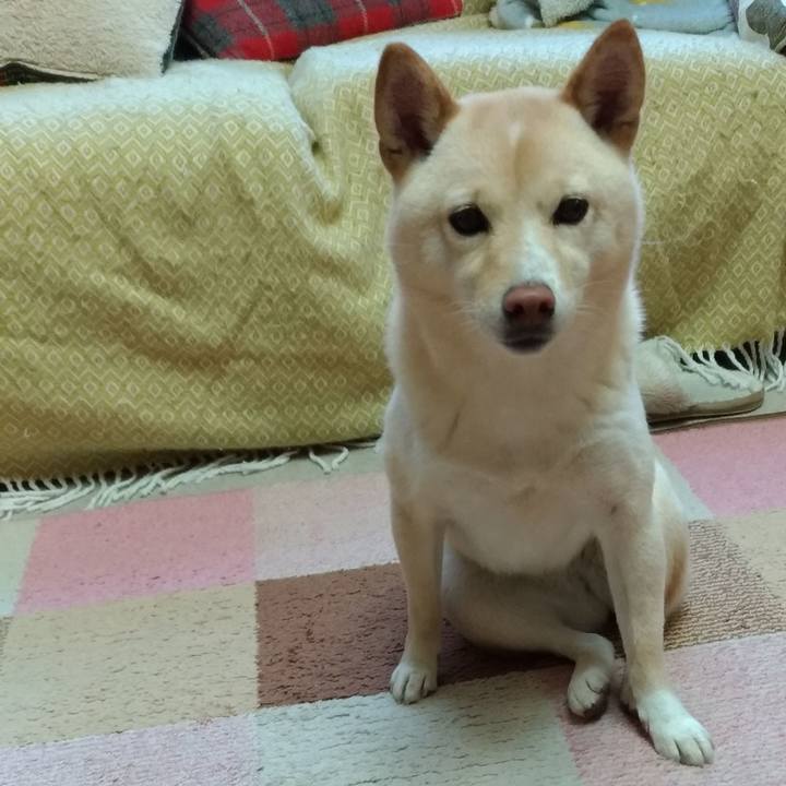 E928679a e19e 444a bfbc c68cf324d701 1577492363577