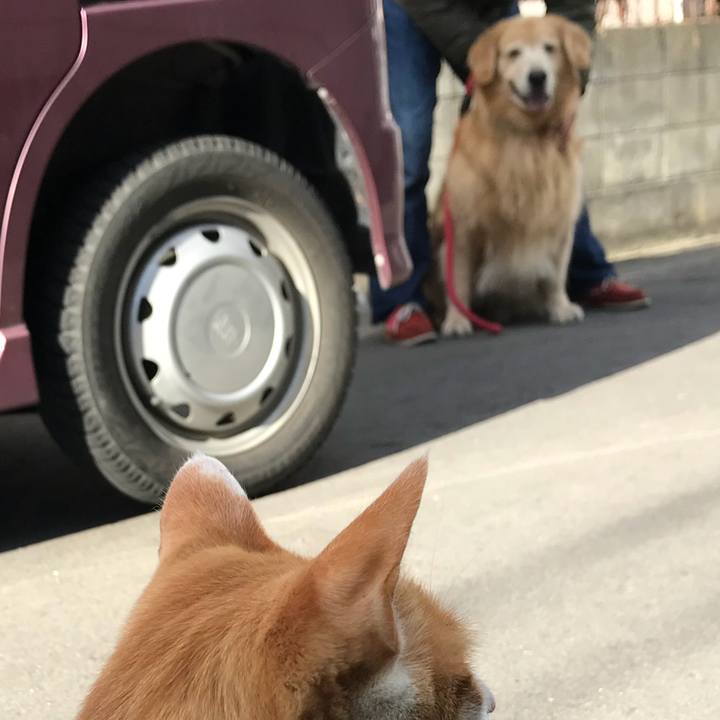 E9287d52 a6bf 47db b31f f8967f5cae0d 1512995641088