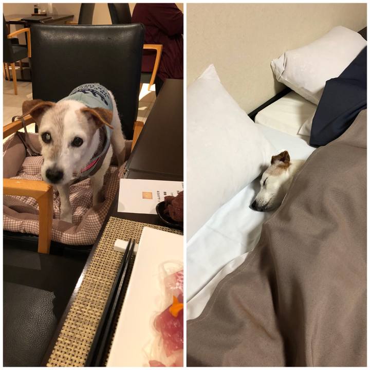 E9288f8a bdf3 4895 9e2a ba0be2a07735 1535888467276