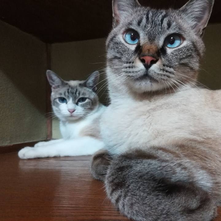 E928a35c 616a 4e86 b450 8a29a7f9af9b 1565434286774