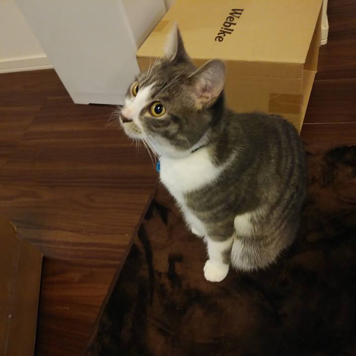 E928a613 9a2d 465b acbc deb710f9ce02 1576968342549