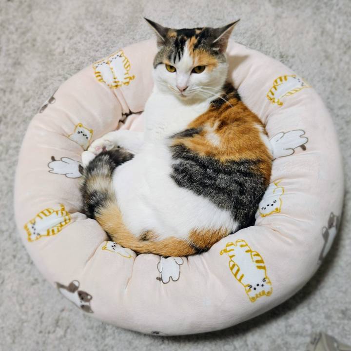 E928a9bb 576b 42a2 b42c 7b84f5d830f8 1774529926653