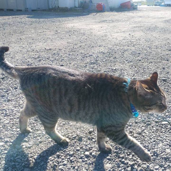 E928b075 a614 44e4 9fff 7212dab298b0 1584407214907