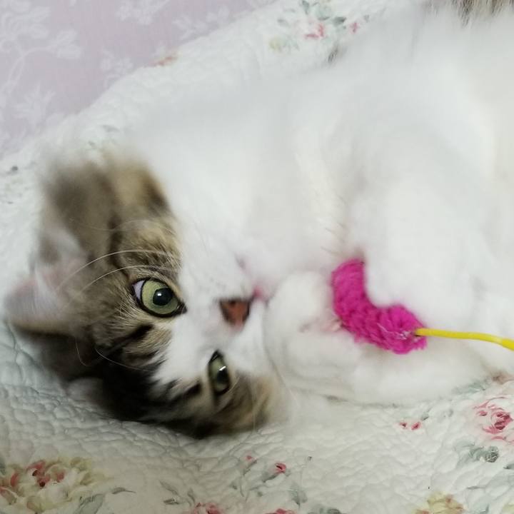 E92901b1 073c 4d99 83a9 cc9a355dfcbd 1584448891772