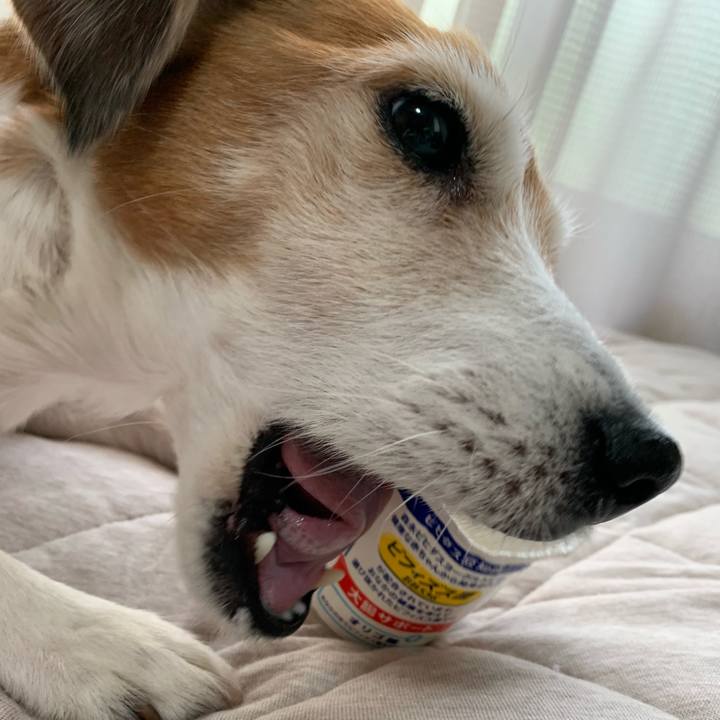 E9292671 976f 4725 a5f1 a9dc506f5914 1583043343456