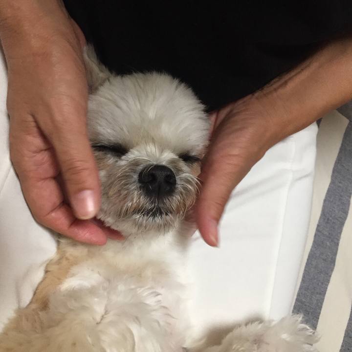 E929313b e0e4 4769 9c8b 7bfb22b7cf0d 1561035601897