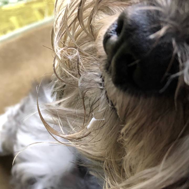 E929c14b 431a 463b 9aec 6c2d4be42f77 1529800391322