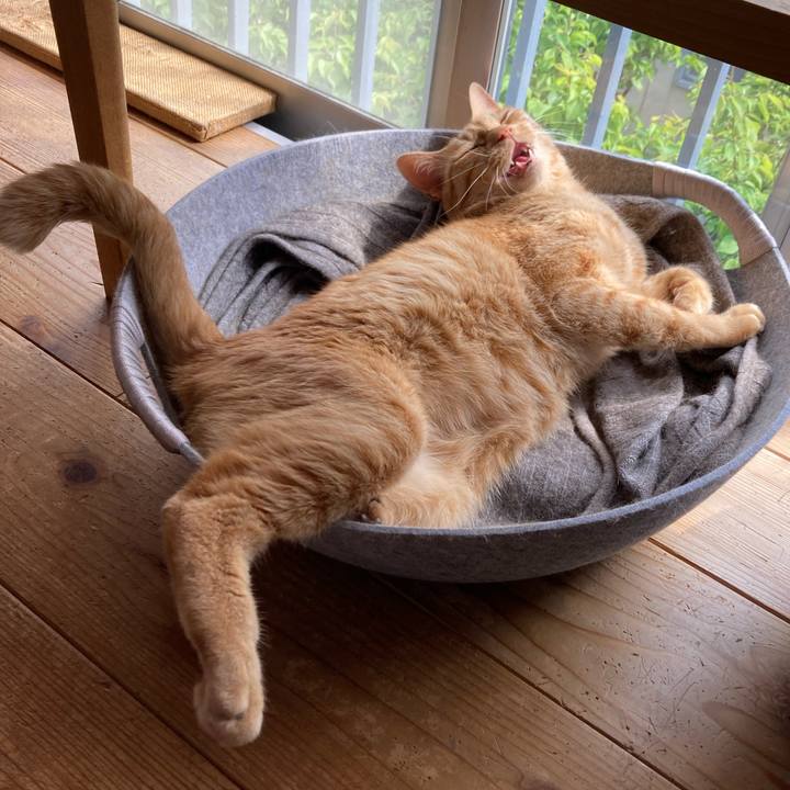 E929db3e 3748 4d74 8aed 14d25ccdbf0b 1650084753561