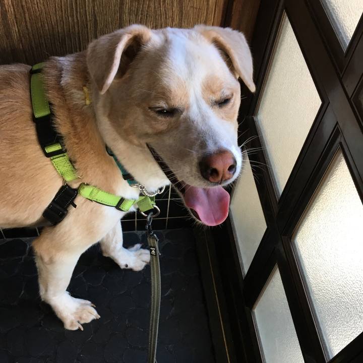 E92a0dae 96bc 43b8 9a75 f777a3f6c877 1534909563578