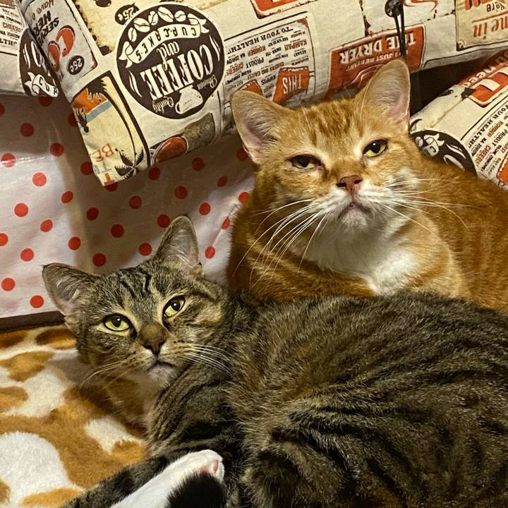 E92a0e19 6cc9 4165 b793 ba30ee1af55d 1617536113695