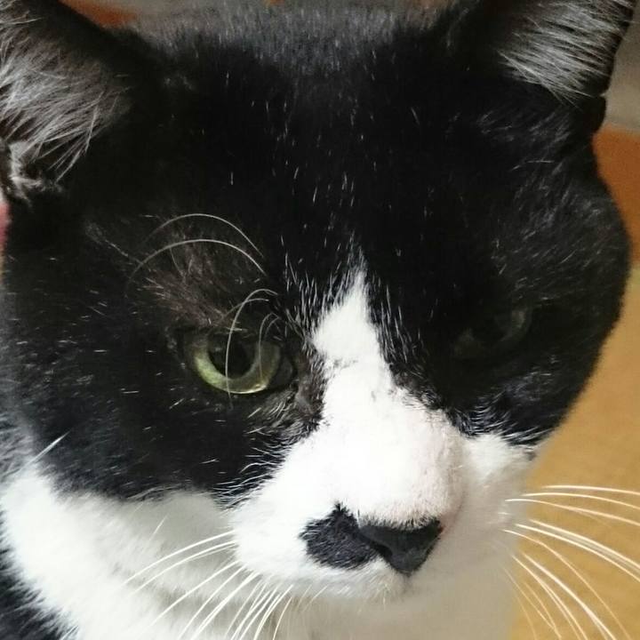 E92a1e4b d615 44d5 a103 5d55beab9bdc 1509783725897