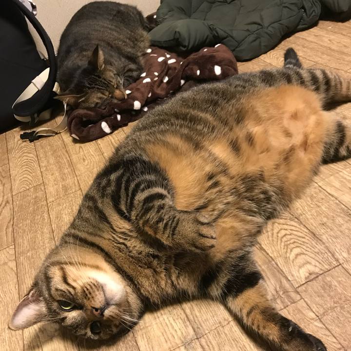 E92a2111 cbd7 4f30 957f 23090b3be54b 1674564380700