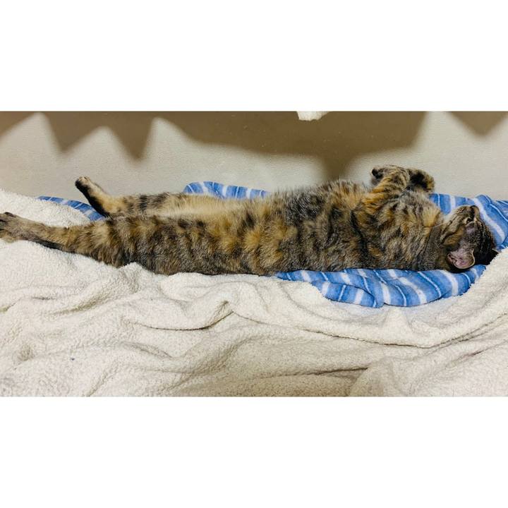 E92a3e0e 2e91 469e 9149 378b925b430a 1625576508317