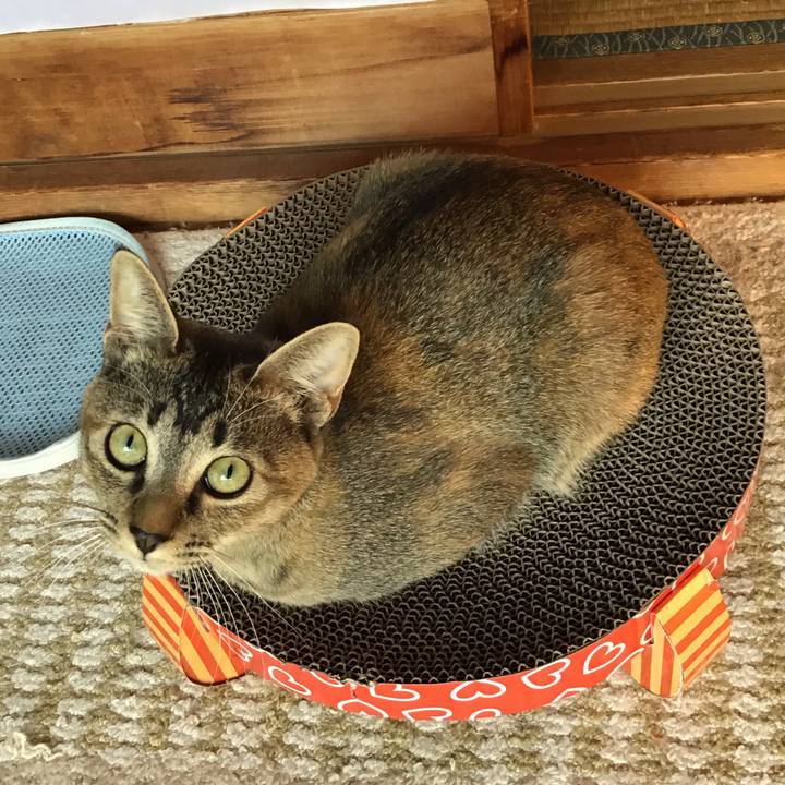 E92a9c9d cc7c 4b67 99e5 77869f671635 1574313266008