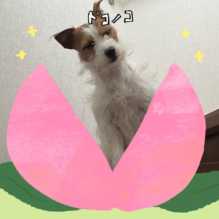 E92ac16f 3810 434e ad0a 6d7bb2489f59 1771841964697