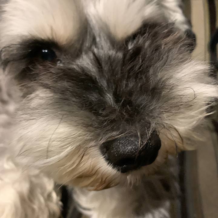 E92ad6fb e219 4184 bbea 360117794127 1593176785758