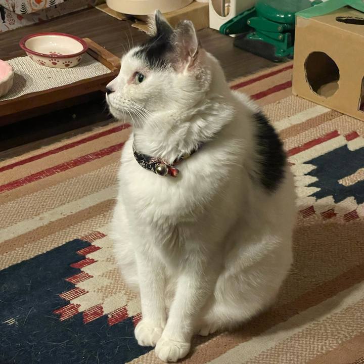 E92ad821 ff5d 4482 91f8 d53707e8cf1e 1730208604779