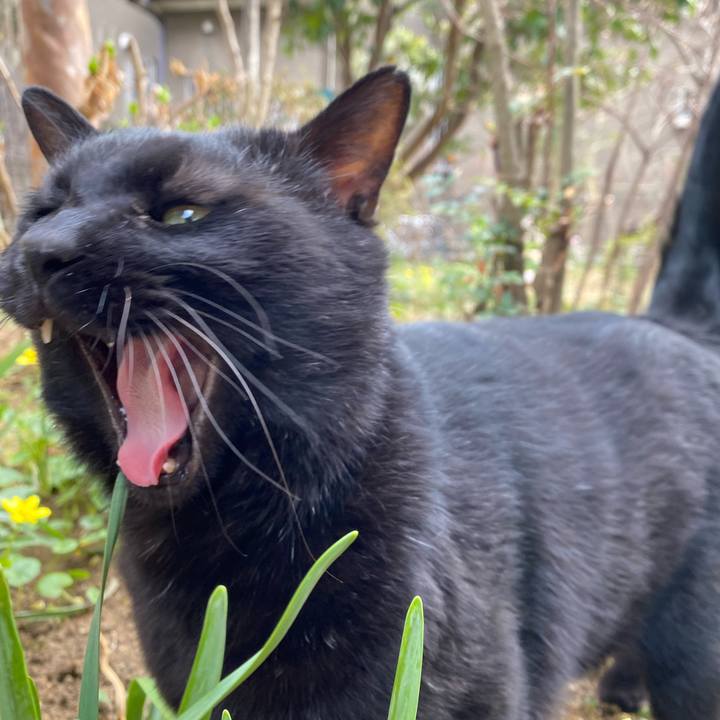 E92afd7b b41e 481c 8f30 4df27f8ea65a 1678704308907