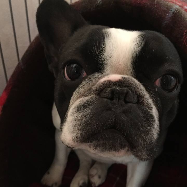 E92b3f9d 9212 4b94 93b4 520dcea3f410 1523466505149