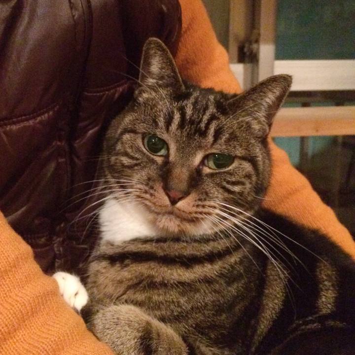 E92b4763 5bb3 49b8 a5be 9d98cb4ac83d 1515932527320