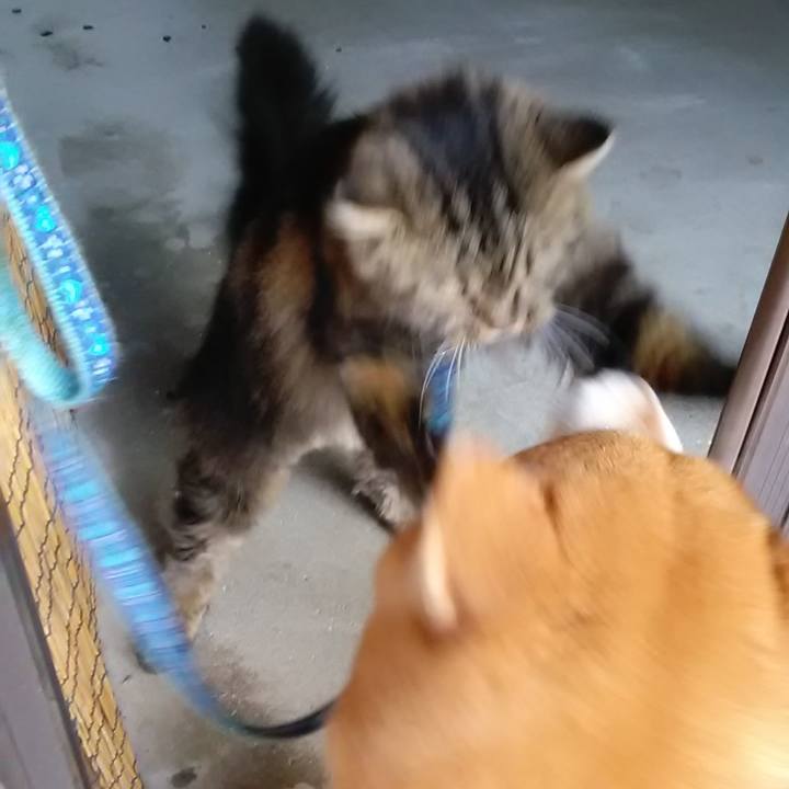 E92ba8cf b8ef 417e 8337 c1b6cb3244de 1630884712432