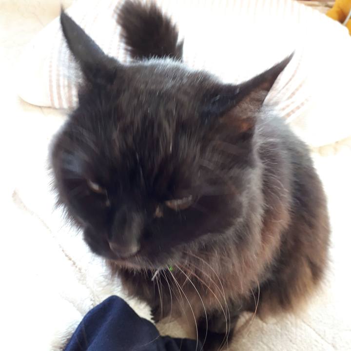 E92baf1a 3fe0 4a93 8e31 3f1094b043ed 1516836388231